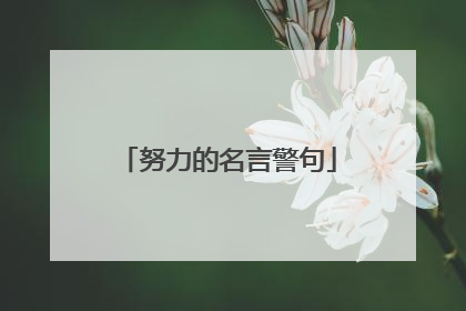 努力的名言警句