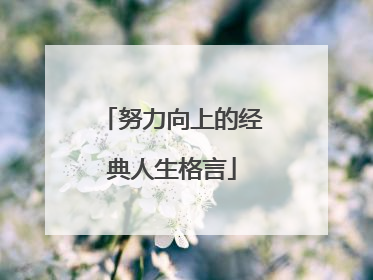 努力向上的经典人生格言