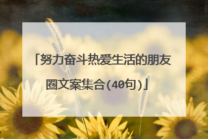 努力奋斗热爱生活的朋友圈文案集合(40句)