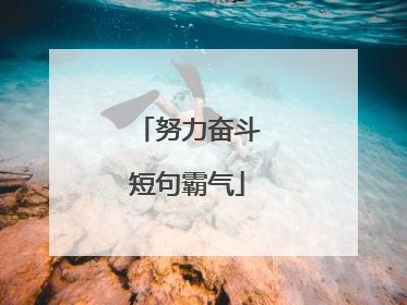 努力奋斗短句霸气