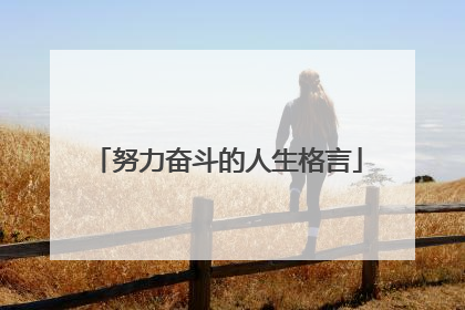 努力奋斗的人生格言