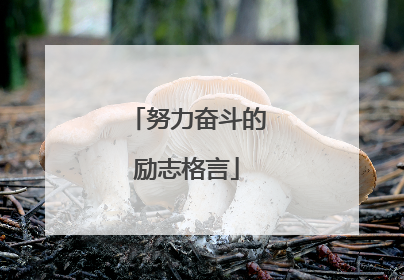 努力奋斗的励志格言