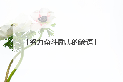努力奋斗励志的谚语