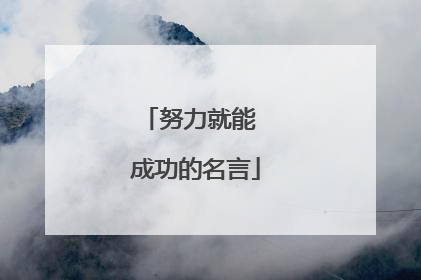 努力就能 成功的名言