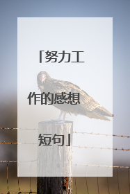 努力工作的感想短句