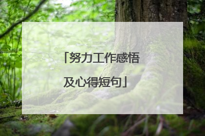 努力工作感悟及心得短句