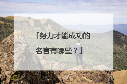 努力才能成功的名言有哪些?