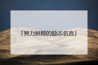努力拼搏的励志名言