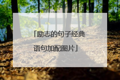 励志的句子经典语句加配图片