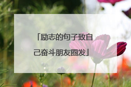 励志的句子致自己奋斗朋友圈发