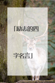 励志的四字名言