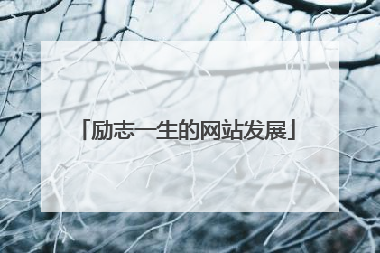 励志一生的网站发展