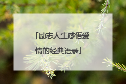 励志人生感悟爱情的经典语录