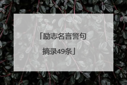 励志名言警句摘录49条