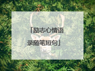 励志心情语录随笔短句