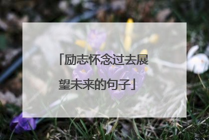 励志怀念过去展望未来的句子