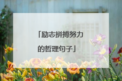 励志拼搏努力的哲理句子