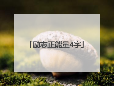 励志正能量4字