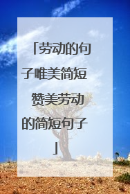 劳动的句子唯美简短 赞美劳动的简短句子