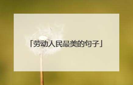 劳动人民最美的句子