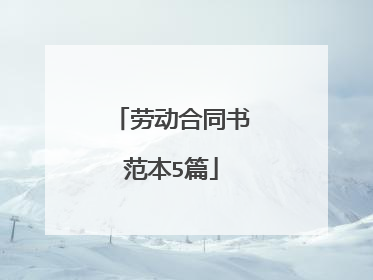 劳动合同书范本5篇