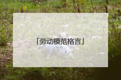 劳动模范格言