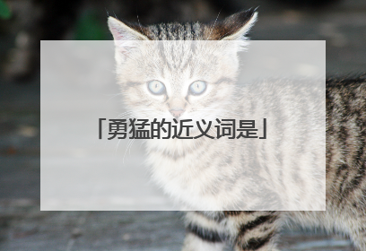 勇猛的近义词是