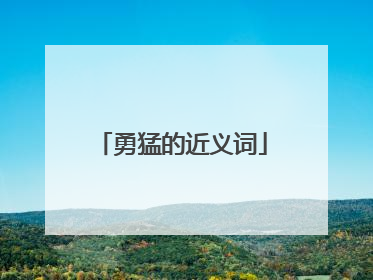 勇猛的近义词