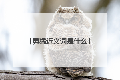勇猛近义词是什么