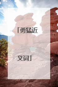 勇猛近义词