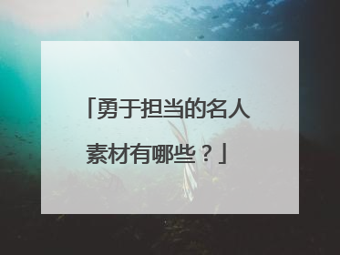 勇于担当的名人素材有哪些？