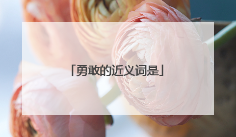 勇敢的近义词是