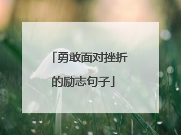 勇敢面对挫折的励志句子