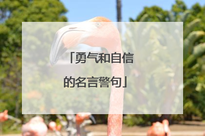 勇气和自信的名言警句
