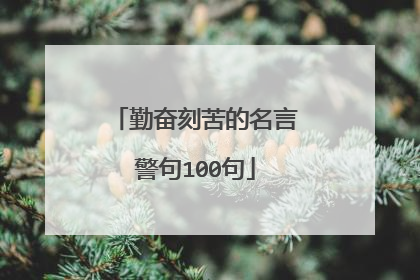 勤奋刻苦的名言警句100句
