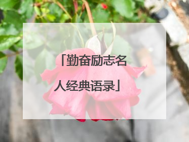 勤奋励志名人经典语录