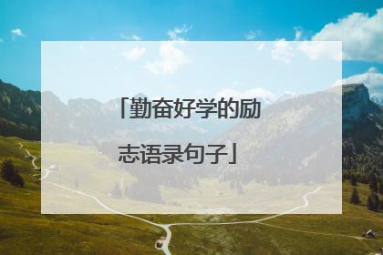 勤奋好学的励志语录句子