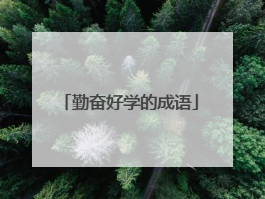 勤奋好学的成语