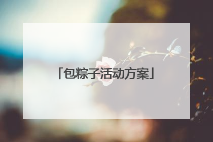 包粽子活动方案