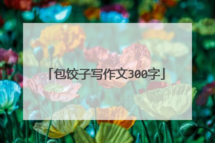 包饺子写作文300字