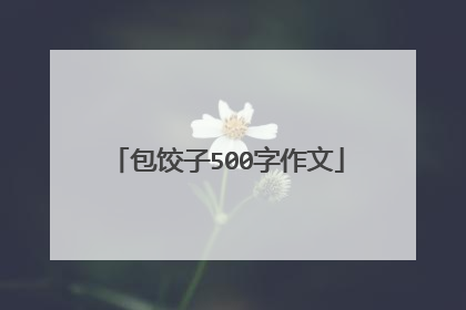 包饺子500字作文