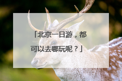 北京一日游,都可以去哪玩呢?