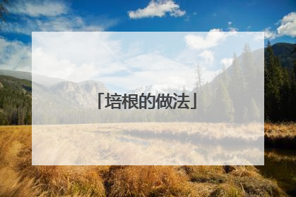 培根的做法