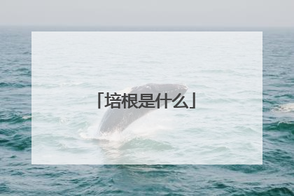 培根是什么