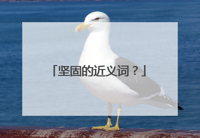 坚固的近义词?