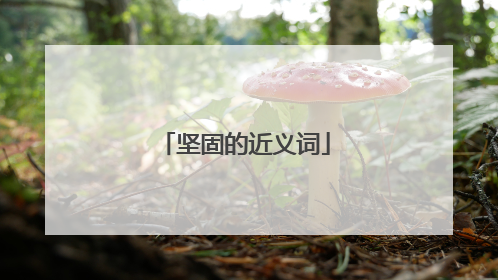 坚固的近义词