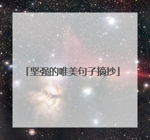 坚强的唯美句子摘抄