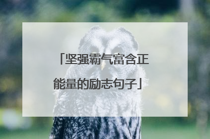 坚强霸气富含正能量的励志句子