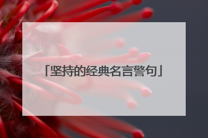 坚持的经典名言警句