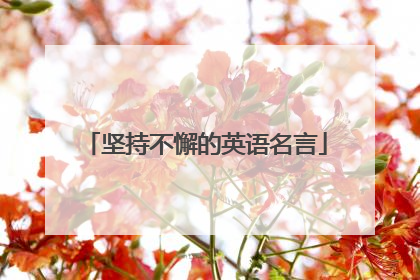 坚持不懈的英语名言